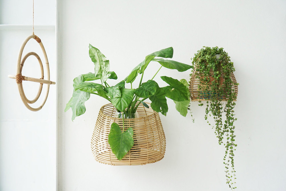 Hanging wicker basket store