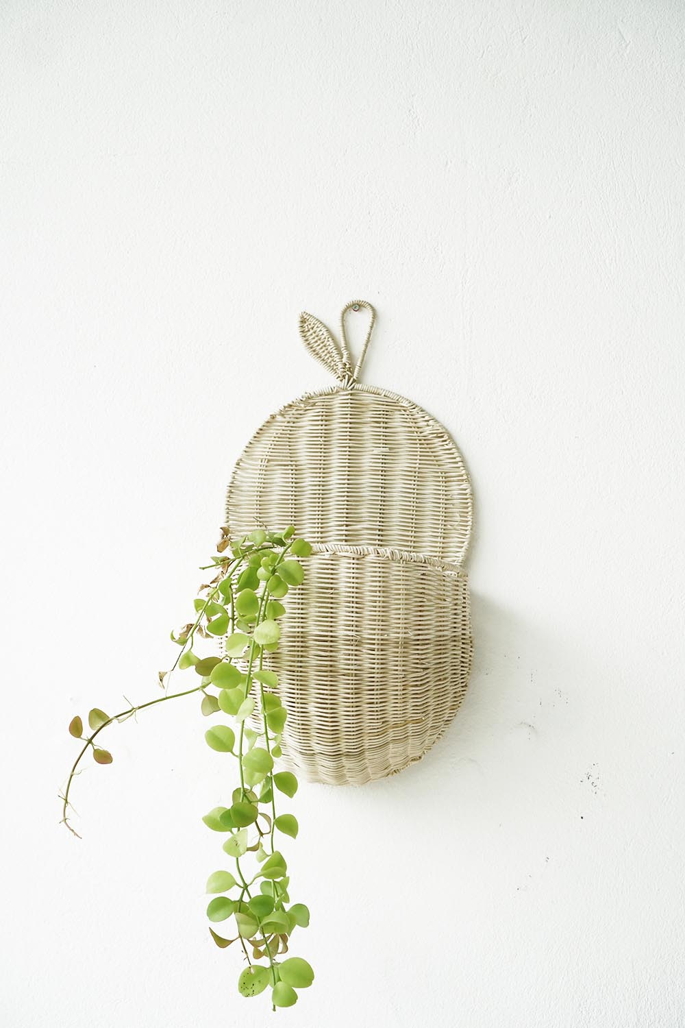 Summer Hanging Basket Planter