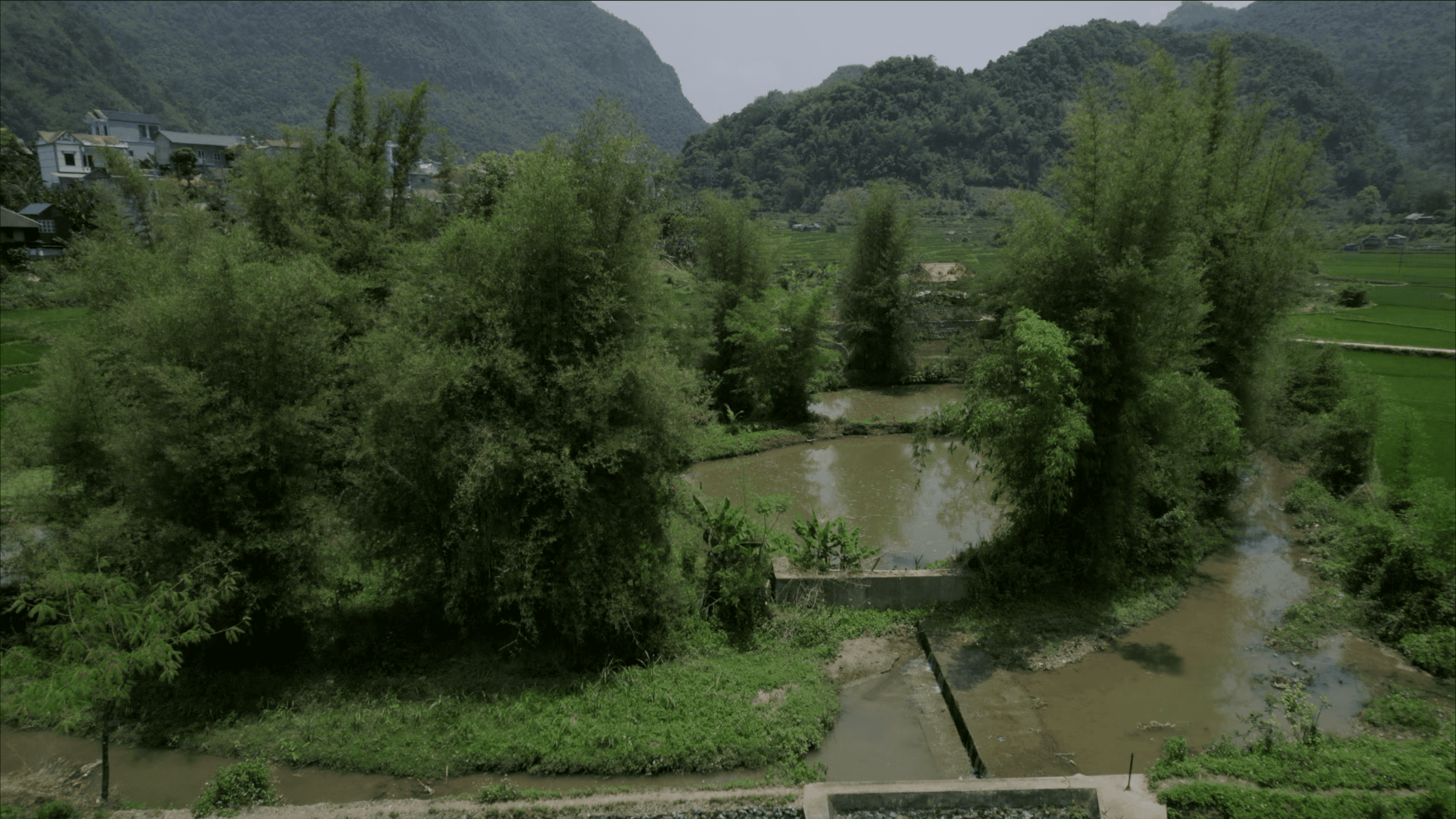 Bamboo source vietnam handicraft