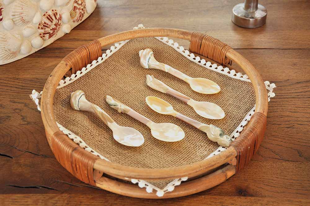 Mother of Pearl spoon wholesale