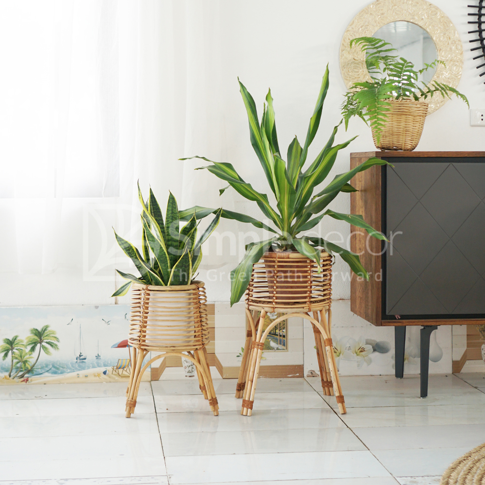 Rattan Plant Stand