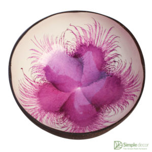 Hand Painted Lacquered Coconut Bowl Wholesale