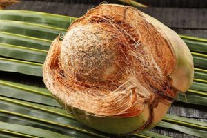 coconut-husk-making-coconut-bowls-wholesale-simple-decor