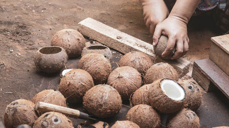coconut shell making coconut bowls wholesale