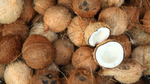 coconut-shells-make-coconut-bowls-in-vietnam