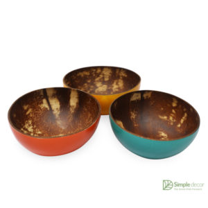 Lacquered Outside Layer Coconut Bowls Wholesale