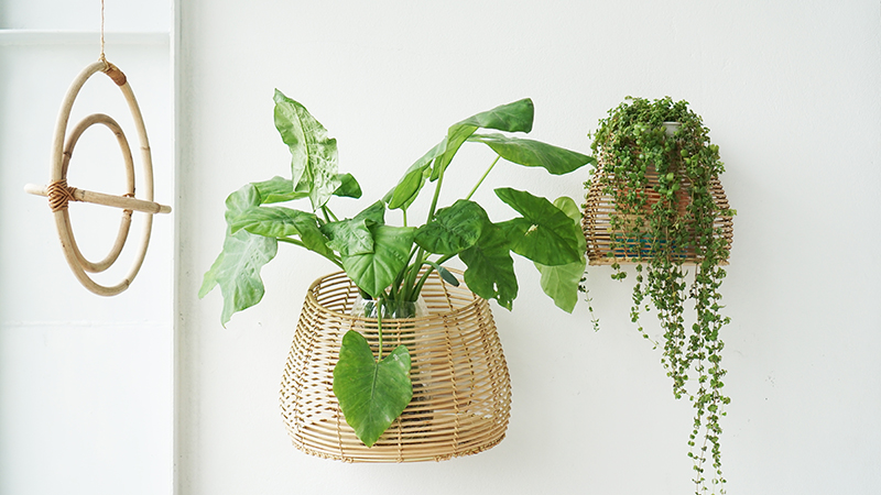 rattan-hanging-baskets-wholesale-simple-decor