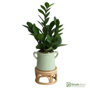 Wholesale Small Rattan Plant Stand for indoor Home Decor Manufacturer in Vietnam