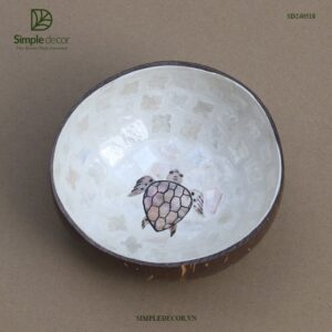 Coconut bowl turtle